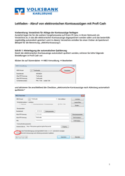 Leitfaden - Abruf von elektronischen Kontoausz&uuml;gen mit Profi Cash