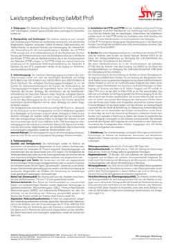 Leistungsbeschreibung baMbit Profi