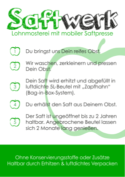 Saftwerk Flyer