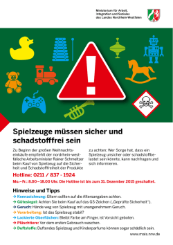 Infoflyer zur Hotline Spielzeuge