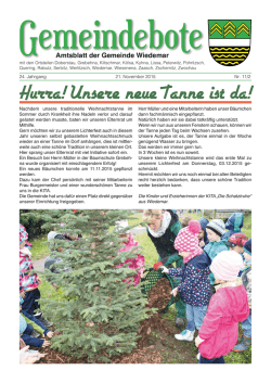 Hurra! Unsere neue Tanne ist da!