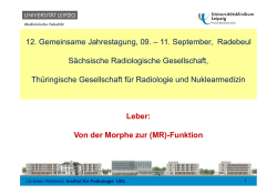 Leber: Von der Morphe zur (MR)-Funktion 12. Gemeinsame