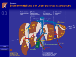 Segmenteinteilung der Leber (nach Couinaud/Bismuth)