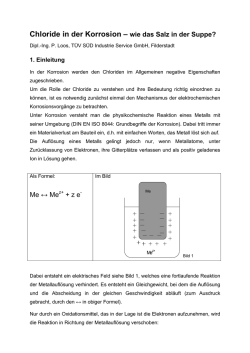 Chloride in der Korrosion &ndash; wie das Salz in der Suppe?