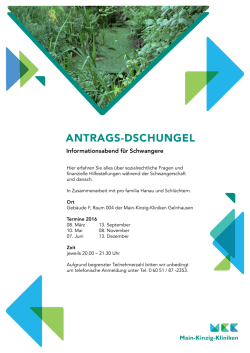 Durch den Dschungel der Antr&auml;ge - Main-Kinzig