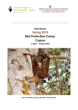Field Report: Spring 2015 Bird Protection Camp, Cyprus