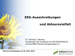 EEG-Ausschreibungen und Akteursvielfalt