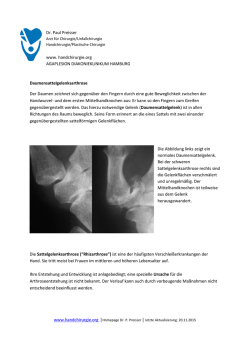 Seite als PDF zum Speichern und Drucken