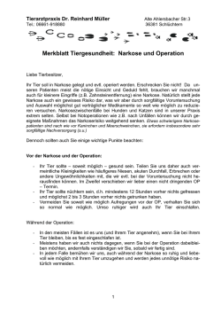 Hilfe - Mein Tier soll operiert werden