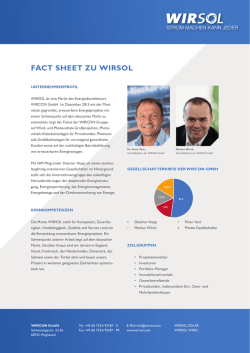 FACT SHEET ZU WIRSOL
