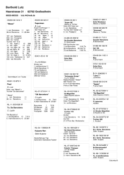 5. Stamm- baum PDF