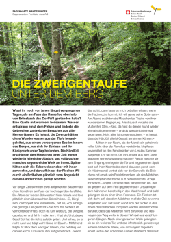 DIE ZWERGENTAUFE UNTER DEM BERG