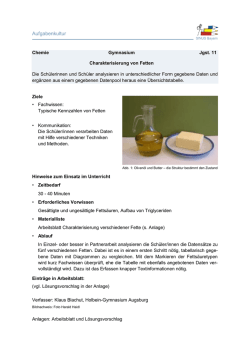 Fette - SINUS Bayern