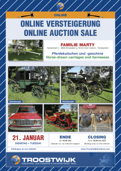 online versteigerung online auction sale