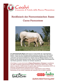 Rindfleisch der Piemontesischen Rasse Carne