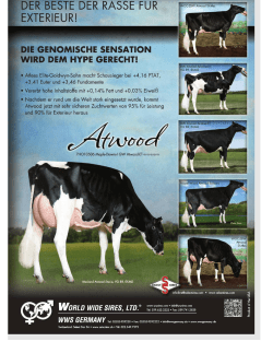 DER BESTE DER RASSE FUR EXTERIEUR! “
