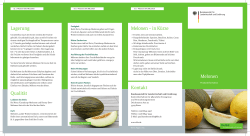 Melonen PDF | 2 MB