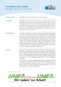 immer noch &ndash; zur Arbeit! PDF - Nationale Klimaschutzinitiative