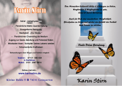 Karin Stirn Flyer