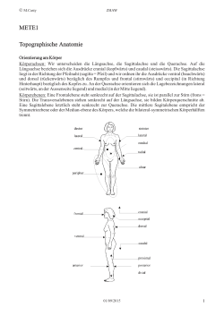 METE1 Topographische Anatomie