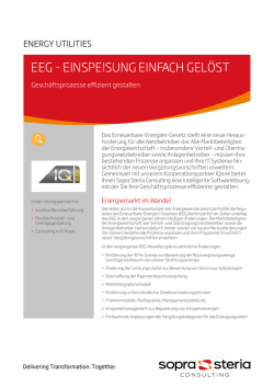 eeg &ndash; einspeisung einfach gel&ouml;st