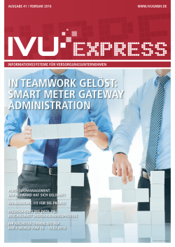 IN TEAMWORK GEL&Ouml;ST: SMART METER GATEWAY