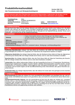 Produktinformationsblatt Aktien