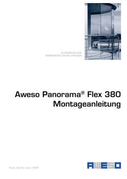 Aweso Panorama® Flex 380 Montageanleitung