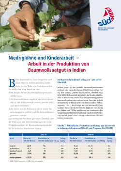 Niedriglöhne und Kinderarbeit – Arbeit in der - SÜDWIND