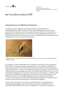 Amputation an Malaria-Parasiten