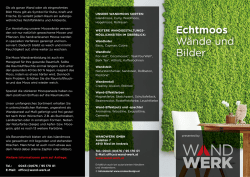 Echtmoos W&auml;nde und Bilder