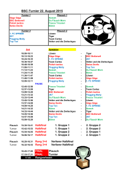 BSC-Turnier 22. August 2015