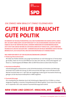 gute hilfe braucht gute politik - SPD