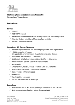 Wohnung Tannenbodenwiesenstrasse 6b