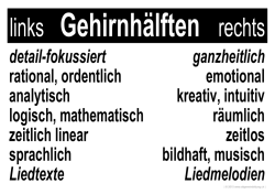 detail-fokussiert ganzheitlich rational, ordentlich emotional