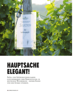 hauptsache elegant!