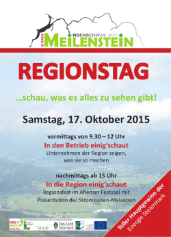 regionstag - Netzwerk Meilenstein