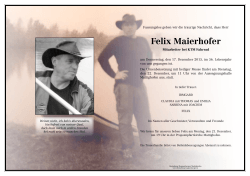 Felix Maierhofer - Leistungen