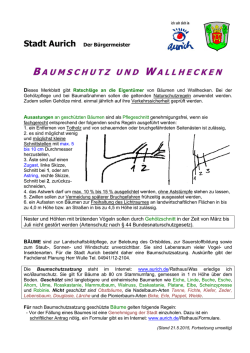 Merkblatt Baumschutz und Wallhecken