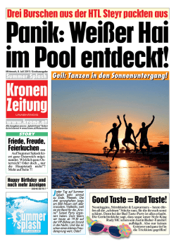 Drei Burschen aus der HTL Steyr packten aus