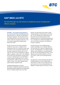 SAP IM4G mit BTC