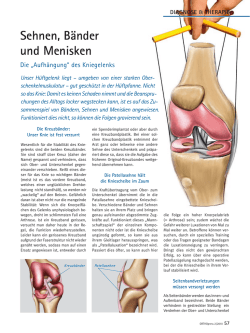 Sehnen, Bänder und Menisken