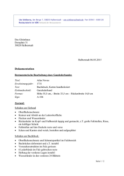 Dokumentation der Restaurierung