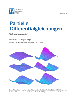 Partielle Differentialgleichungen - Analysis and Scientific Computing