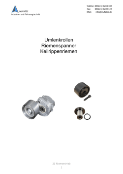 Riementrieb