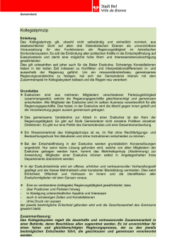Grundsatzpapier Kollegialprinzip