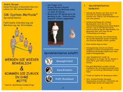SM-System-Methode*