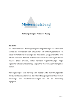 Übergabeprotokoll – Auszug