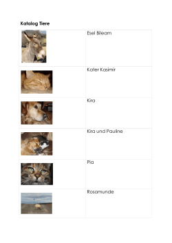 Katalog Tiere Esel Bileam Kater Kasimir Kira Kira und Pauline Pia