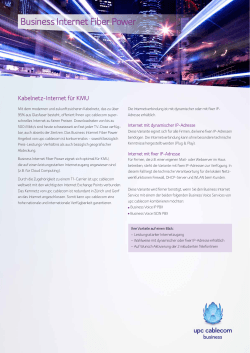Factsheet Business Internet Fiber Power